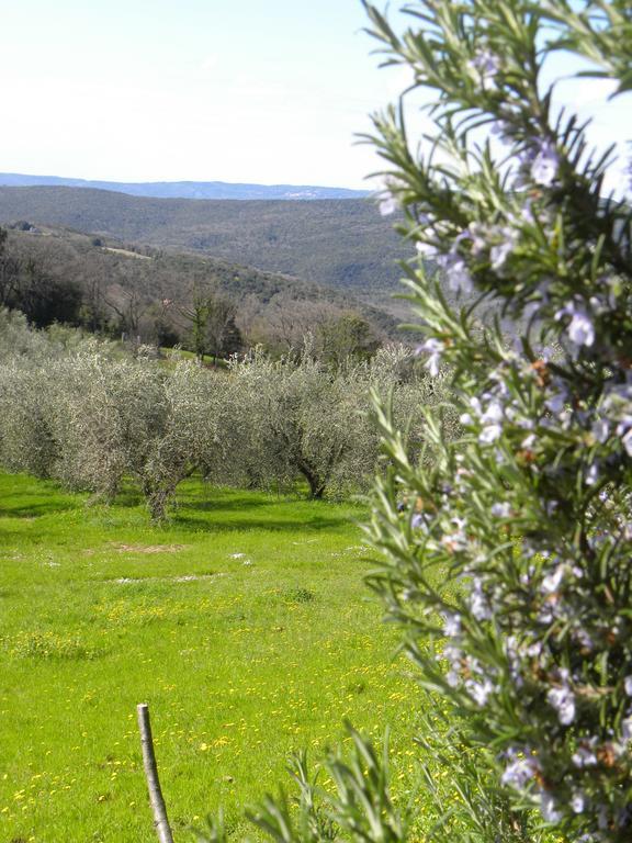 Agriristoro Podere S. Andrea Massa Marittima Buitenkant foto