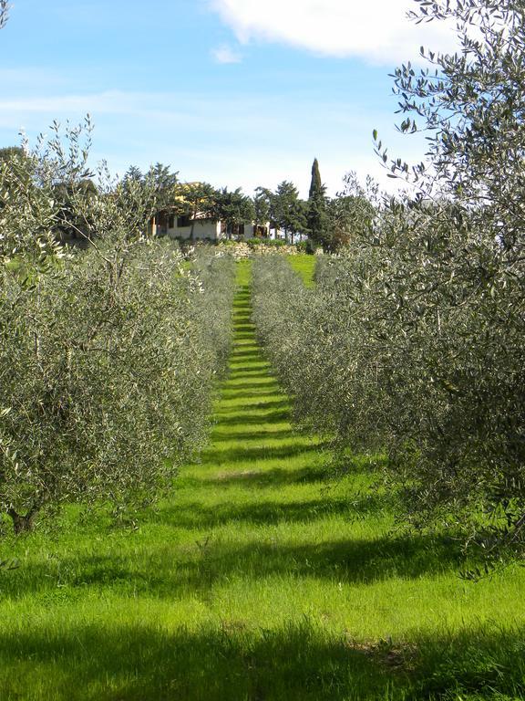 Agriristoro Podere S. Andrea Massa Marittima Buitenkant foto