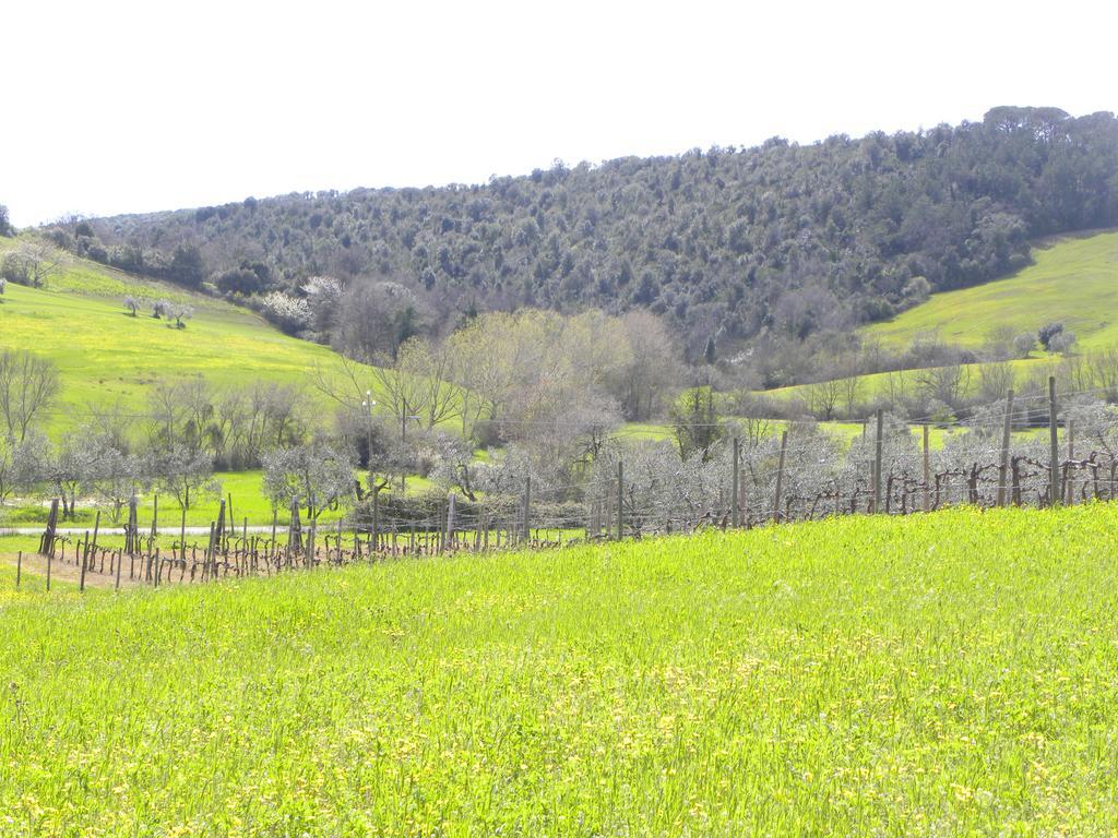 Agriristoro Podere S. Andrea Massa Marittima Buitenkant foto