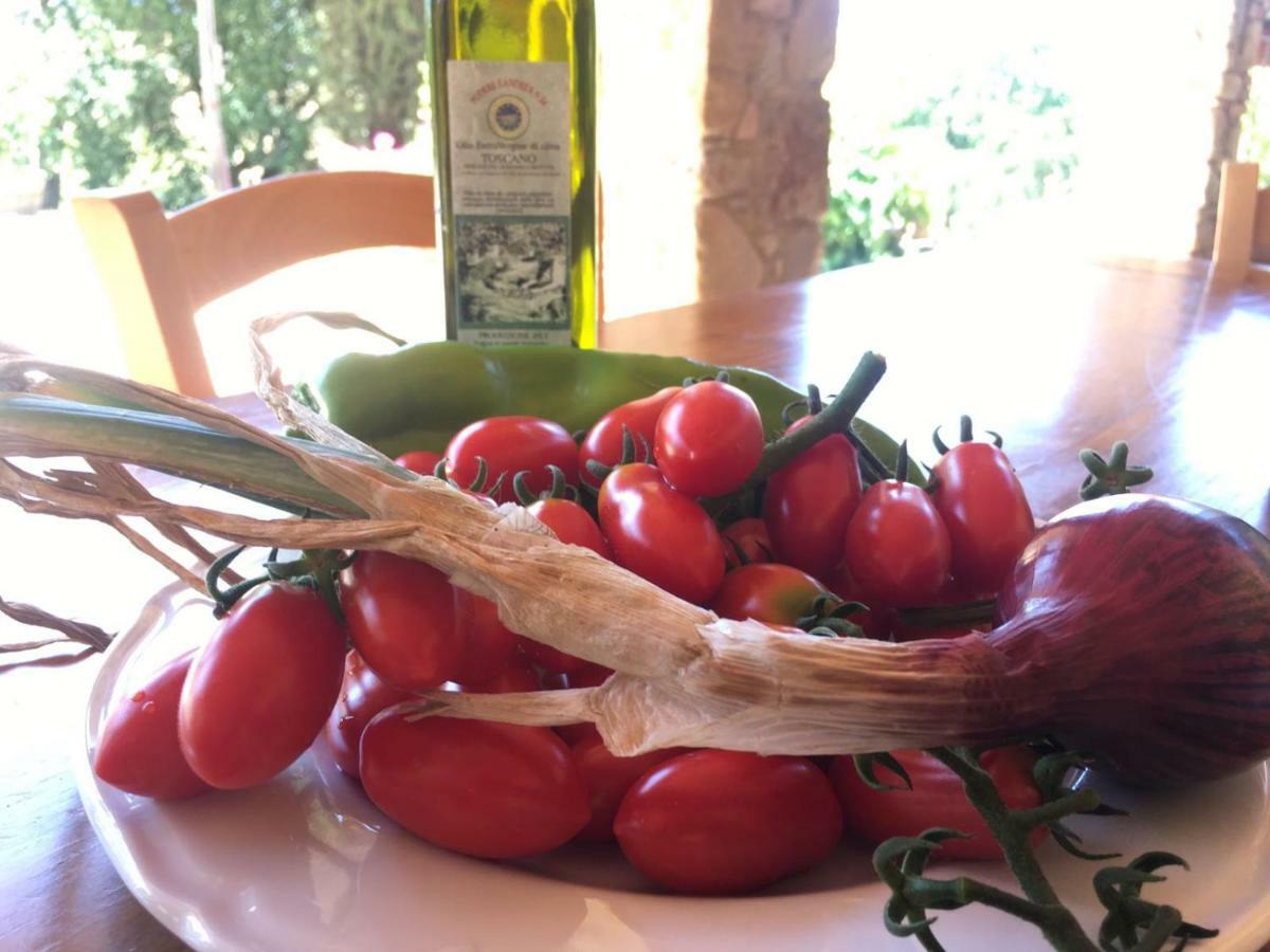 Agriristoro Podere S. Andrea Massa Marittima Buitenkant foto