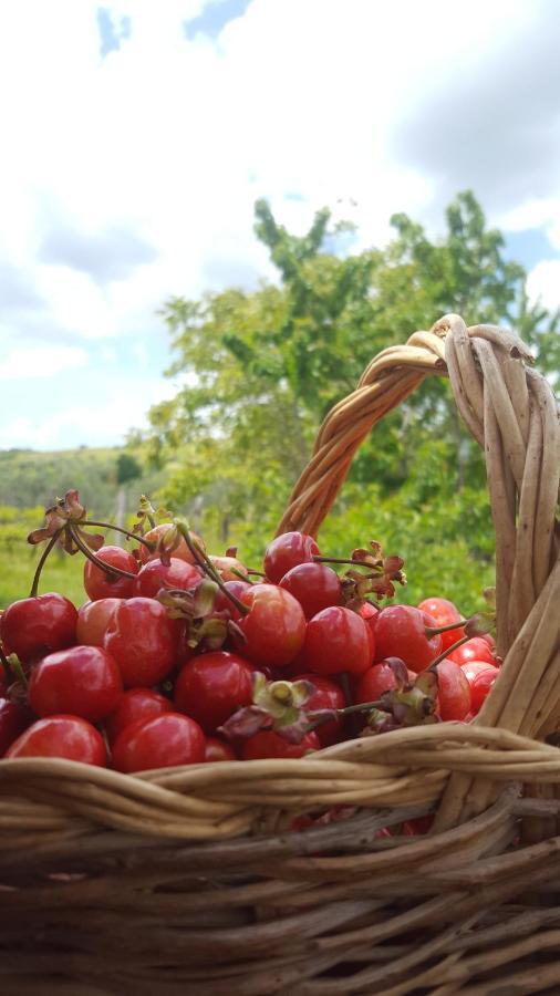 Agriristoro Podere S. Andrea Massa Marittima Buitenkant foto